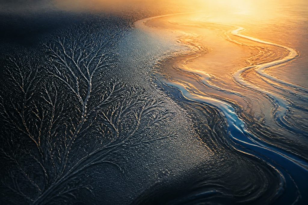 A conceptual image representing nervous-system rhythm and neurofeedback.